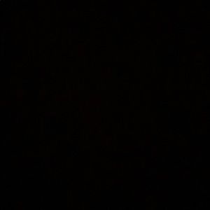 Meet your Posher, Blake